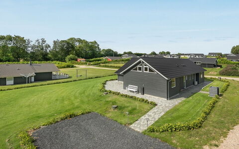 Damiana - 500M from the Sea: Plantesamfund, Sollys, Urteagtig Plante, Have, Plantation, Landbrug, Farm
