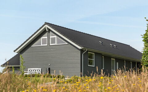 Damiana - 500M from the Sea: Plantesamfund, Sollys, Urteagtig Plante, Have, Plantation, Landbrug, Farm