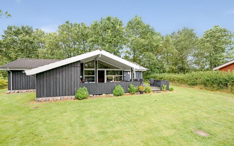 Gurly - 25Km from the Sea: Plantesamfund, Sollys, Urteagtig Plante, Have, Plantation, Landbrug, Farm