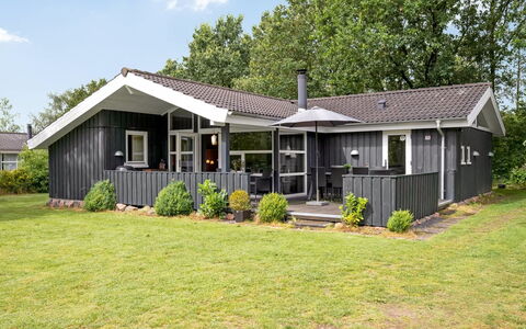 Gurly - 25Km from the Sea: Plantesamfund, Sollys, Urteagtig Plante, Have, Plantation, Landbrug, Farm