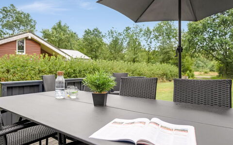 Gurly - 25Km from the Sea: Plantesamfund, Sollys, Urteagtig Plante, Have, Plantation, Landbrug, Farm