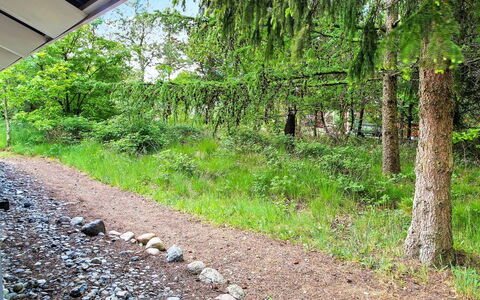Frederikke - 28Km from the Sea: Grøn, Busk, Plantesamfund, Bunddække, Sti, Jord, Have, Woodland, Jungle, Evergreen