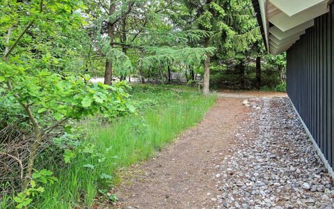 Frederikke - 28Km from the Sea: Blad, Vegetationen, Busk, Bunddække, Skygge, Forår, Have, Vedplante, Sollys, Landscaping