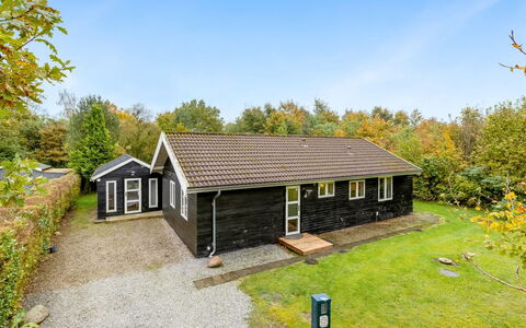 Siiri - 28Km from the Sea: Græs, Græs-, Landskab, Økoregion, Almindeligt, Plantesamfund, Land Lot, Udendørs Møbler, Prærie, Shrubland