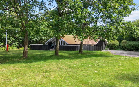 Carlotta - 12Km from the Sea: Tag, Hus, Land Lot, Hjem, Sommerhus, Estate, Garden Bygninger, Skygge, Bjælkehytte, Landscaping