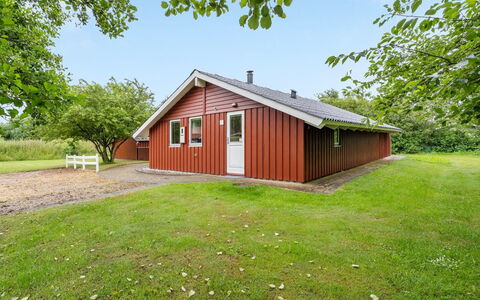 Danna - 850M to the Fjord: Plantesamfund, Sollys, Urteagtig Plante, Have, Plantation, Landbrug, Farm