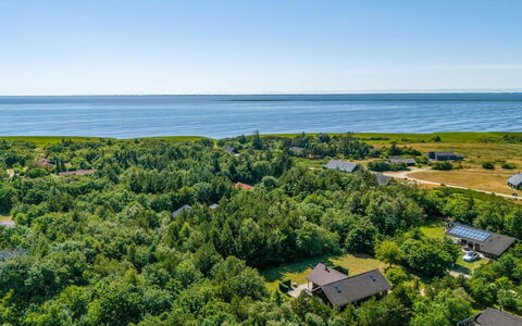 Yvonna - 350M to the Fjord: Fugleperspektiv, Landskab, Luftfotografering, Ocean, Plantation, Hav, Mark, Kyst