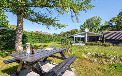 Raisa - 200M to the Fjord: Plantesamfund, Sollys, Urteagtig Plante, Have, Plantation, Landbrug, Farm