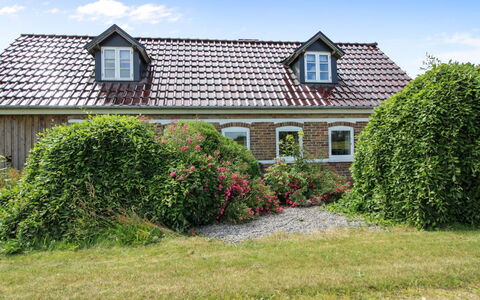 Malene - 700M to the Fjord: Tag, Hus, Hjem, Sommerhus, Sidespor, Estate, Indkørsel, Garden Bygninger, Gård, Skur