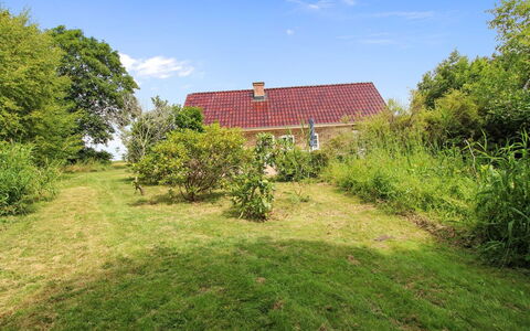 Malene - 700M to the Fjord: Tag, Hus, Hjem, Sommerhus, Sidespor, Estate, Indkørsel, Garden Bygninger, Gård, Skur