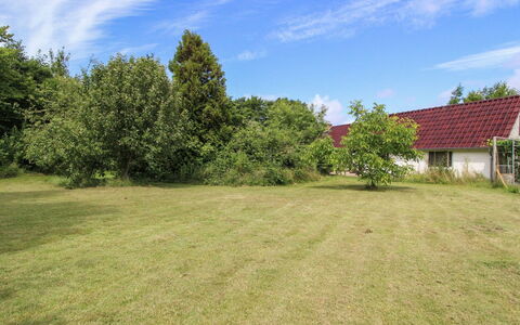 Malene - 700M to the Fjord: Tag, Hus, Hjem, Sommerhus, Sidespor, Estate, Indkørsel, Garden Bygninger, Gård, Skur