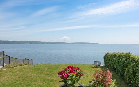 Herewardus - 10M to the Fjord: Plantesamfund, Sollys, Urteagtig Plante, Have, Plantation, Landbrug, Farm