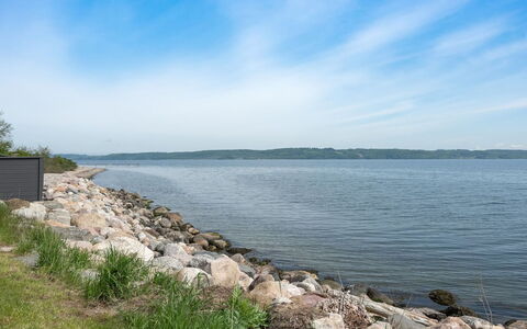 Herewardus - 10M to the Fjord: Plantesamfund, Sollys, Urteagtig Plante, Have, Plantation, Landbrug, Farm