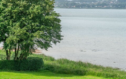 Algot - 100M to the Fjord: Tag, Hus, Hjem, Sommerhus, Sidespor, Estate, Indkørsel, Garden Bygninger, Gård, Skur