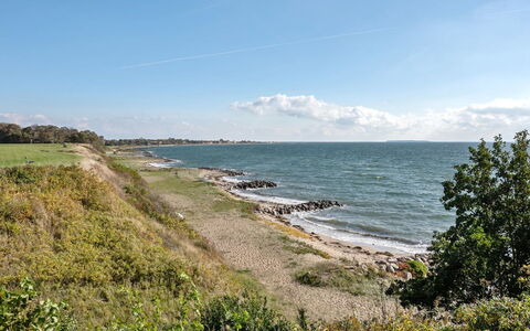 Orsa - 80M from the Sea: Plantesamfund, Sollys, Urteagtig Plante, Have, Plantation, Landbrug, Farm