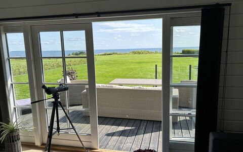 Orsa - 80M from the Sea: Plantesamfund, Sollys, Urteagtig Plante, Have, Plantation, Landbrug, Farm