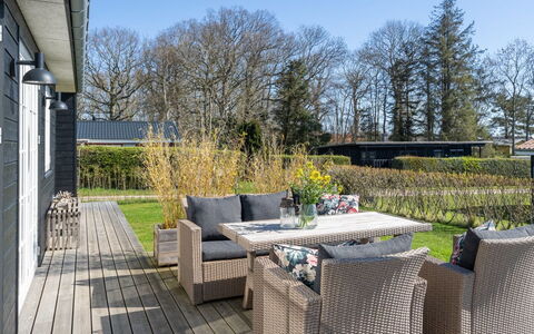 Ovine - 300M from the Sea: Plantesamfund, Sollys, Urteagtig Plante, Have, Plantation, Landbrug, Farm
