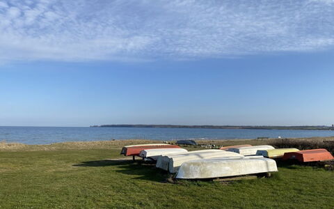 Ovine - 300M from the Sea: Hus, Hjem, Tag, Sommerhus, Land Lot, Estate, Stuehus, Landsby, Farm