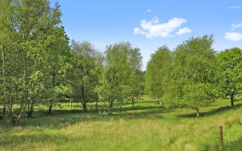 Terese - 45Km from the Sea: 