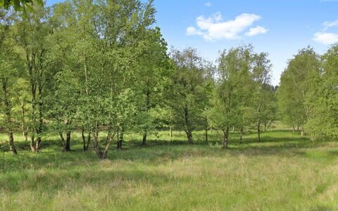 Terese - 45Km from the Sea: 