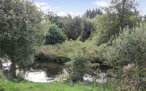 Terese - 45Km from the Sea: 
