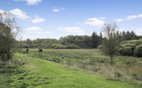 Terese - 45Km from the Sea: 