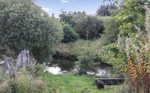Terese - 45Km from the Sea: Plantesamfund, Sollys, Urteagtig Plante, Have, Plantation, Landbrug, Farm