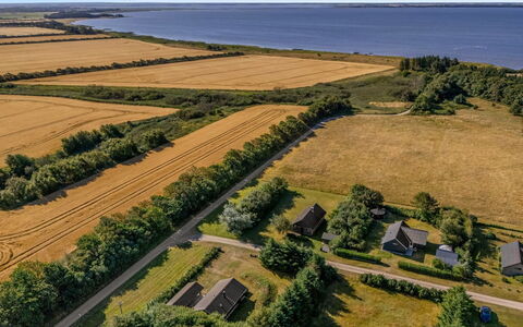 Engeline - 300M to the Fjord: Grøn, Naturlige Landskab, Landskab, Fugleperspektiv, Almindeligt, Luftfotografering, Økoregion, Mark, Land Lot, Plantation