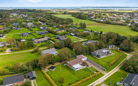 Tuki - 700M to the Fjord: Plantesamfund, Sollys, Urteagtig Plante, Have, Plantation, Landbrug, Farm