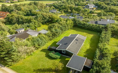 Matilde - 400M to the Fjord: Plantesamfund, Sollys, Urteagtig Plante, Have, Plantation, Landbrug, Farm