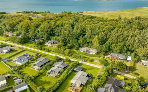 Matilde - 400M to the Fjord: Plantesamfund, Sollys, Urteagtig Plante, Have, Plantation, Landbrug, Farm