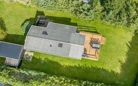 Matilde - 400M to the Fjord: Plantesamfund, Sollys, Urteagtig Plante, Have, Plantation, Landbrug, Farm
