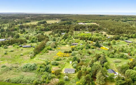Aameek - 3Km from the Sea: Plantesamfund, Sollys, Urteagtig Plante, Have, Plantation, Landbrug, Farm