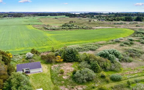 Aameek - 3Km from the Sea: Plantesamfund, Sollys, Urteagtig Plante, Have, Plantation, Landbrug, Farm