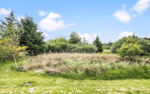 Aameek - 3Km from the Sea: Plantesamfund, Sollys, Urteagtig Plante, Have, Plantation, Landbrug, Farm