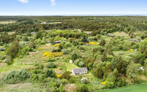 Aameek - 3Km from the Sea: Plantesamfund, Sollys, Urteagtig Plante, Have, Plantation, Landbrug, Farm