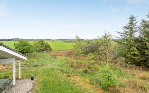 Aameek - 3Km from the Sea: Plantesamfund, Sollys, Urteagtig Plante, Have, Plantation, Landbrug, Farm
