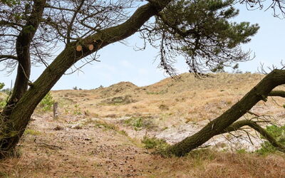 Atreju - 2Km from the Sea