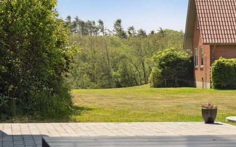 Markhild - 300M to the Fjord: Plantesamfund, Sollys, Urteagtig Plante, Have, Plantation, Landbrug, Farm