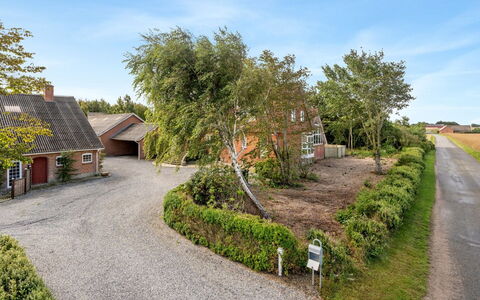 Auguste - 1.5Km to the Fjord: Tag, Hus, Land Lot, Hjem, Sommerhus, Estate, Garden Bygninger, Skygge, Bjælkehytte, Landscaping