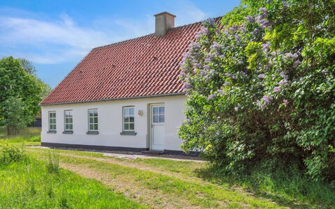Althea - 750M to the Fjord: 