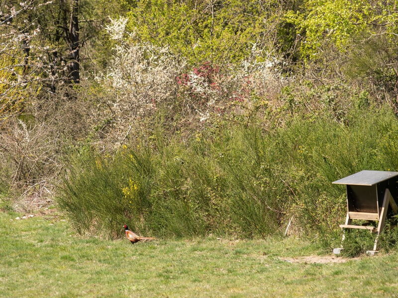 Trajanka - 2Km from the Sea