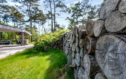 Sylva - 150M from the Sea: Tag, Hus, Hjem, Sommerhus, Sidespor, Estate, Indkørsel, Garden Bygninger, Gård, Skur