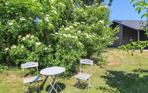 Rufina - 850M from the Sea: Busk, Forår, Have, Skygge, Backyard, Hydrangea, Rose Family, Plantation