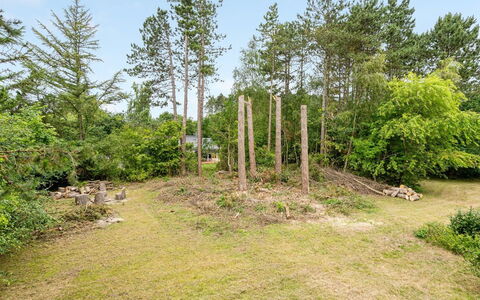 Jakko - 300M from the Sea: Tag, Hus, Hjem, Sommerhus, Sidespor, Estate, Indkørsel, Garden Bygninger, Gård, Skur