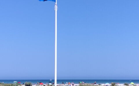 Line - 10M from the Sea: Hus, Tag, Hjem, Sommerhus, Skur, Garden Bygninger, Sidespor, Gård, Bjælkehytte, Hytte