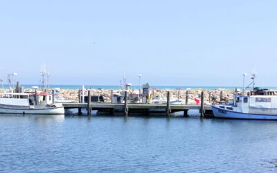 Line - 10M from the Sea