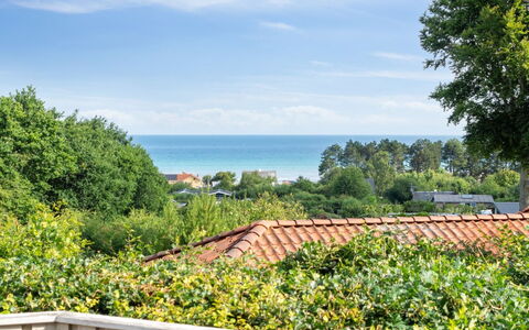 Ludewiga - 350M from the Sea: Himmel, Blå, Grøn, Busk, Plantesamfund, Ocean, Skygge, Eco Hotel, Landscaping, Hegn