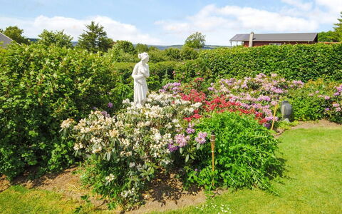 Annabeth - 300M to the Fjord: Blomst, Have, Busk, Lyserød, Plantesamfund, Bunddække, Forår, Blomstrende Plante, Purple