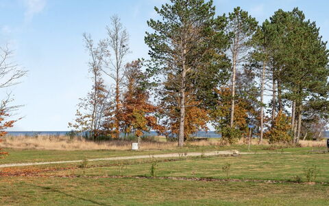 Joon - 300M from the Sea: Tag, Hus, Hjem, Sommerhus, Sidespor, Estate, Indkørsel, Garden Bygninger, Gård, Skur
